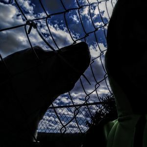 Meet your Posher, Gage